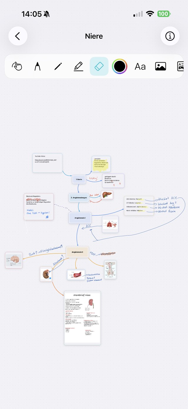 Mindmap mit Bildern, Sticky-Notes und Steckbrief in SlayMed